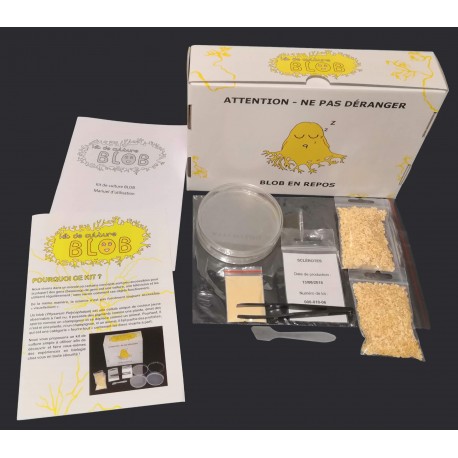 Slime mold culture kit - Discovery