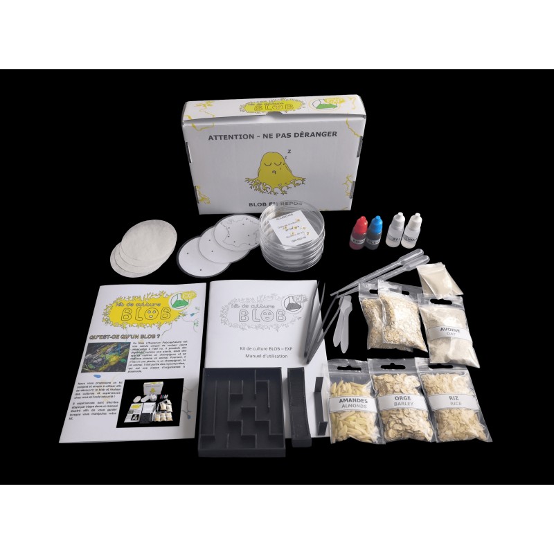 Slime mold culture kit - Special Experiments