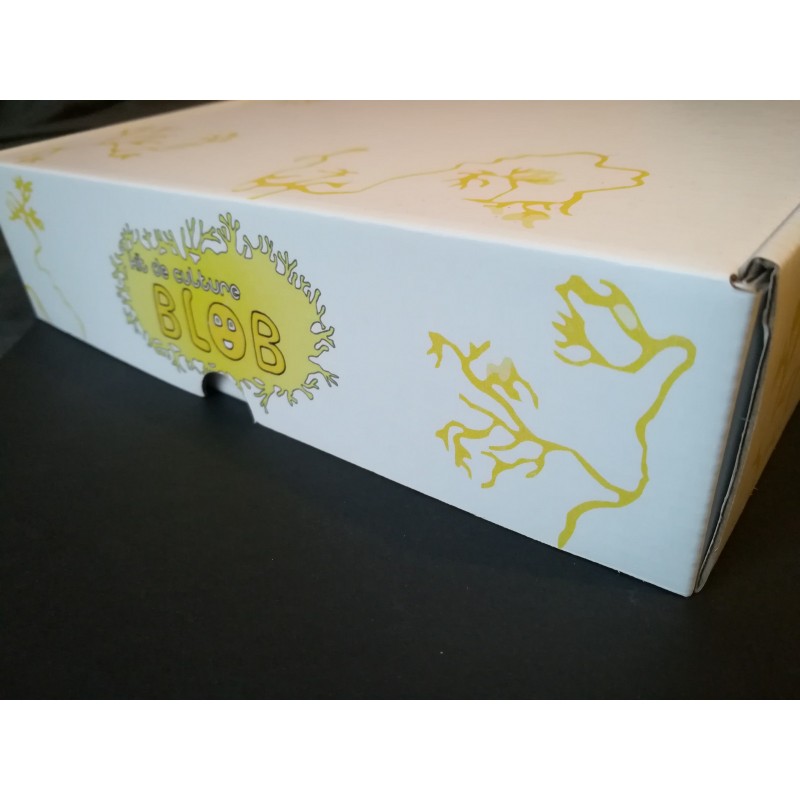 BLOB BOX - Kit Blob Vivant américain (Physarum Polycephalum) - kit